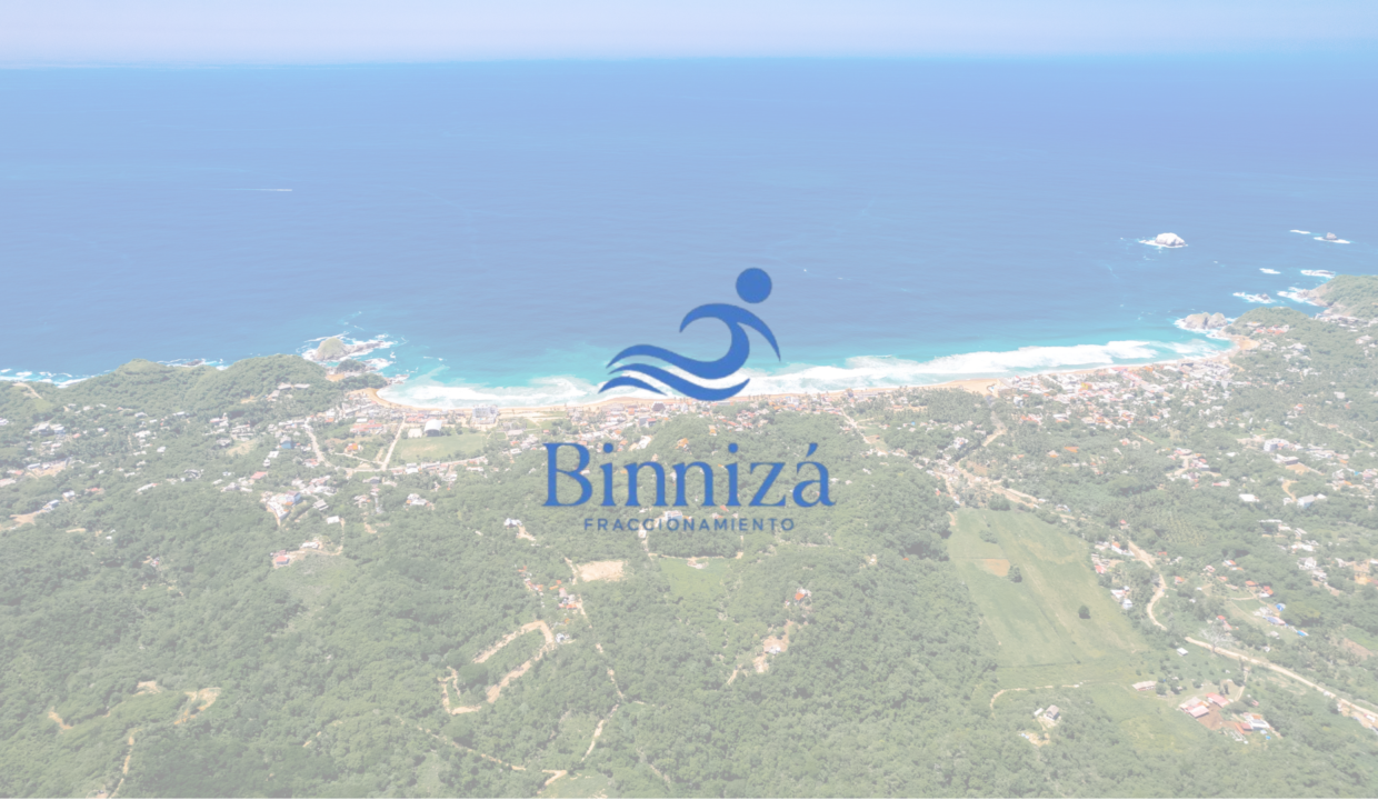 Binniza