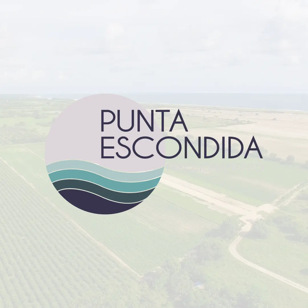 Punta Escondida