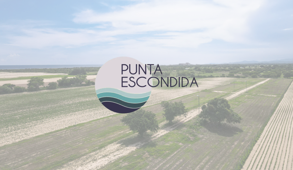 Punta escondida