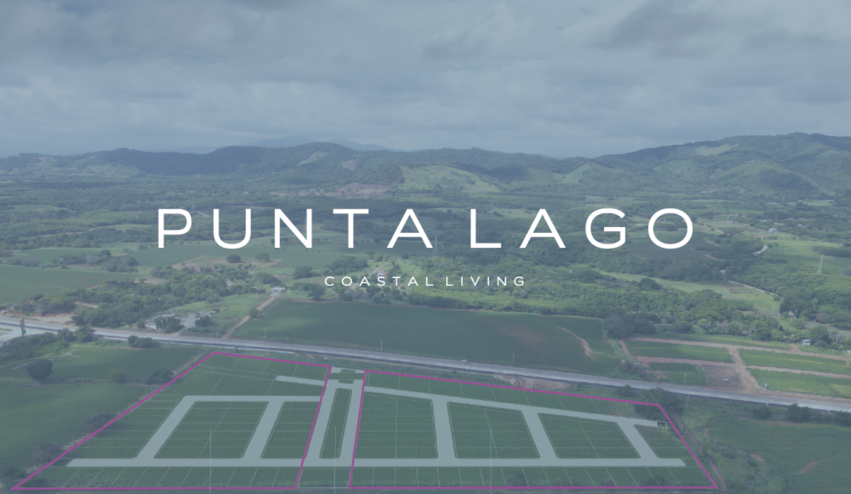 Punta lago