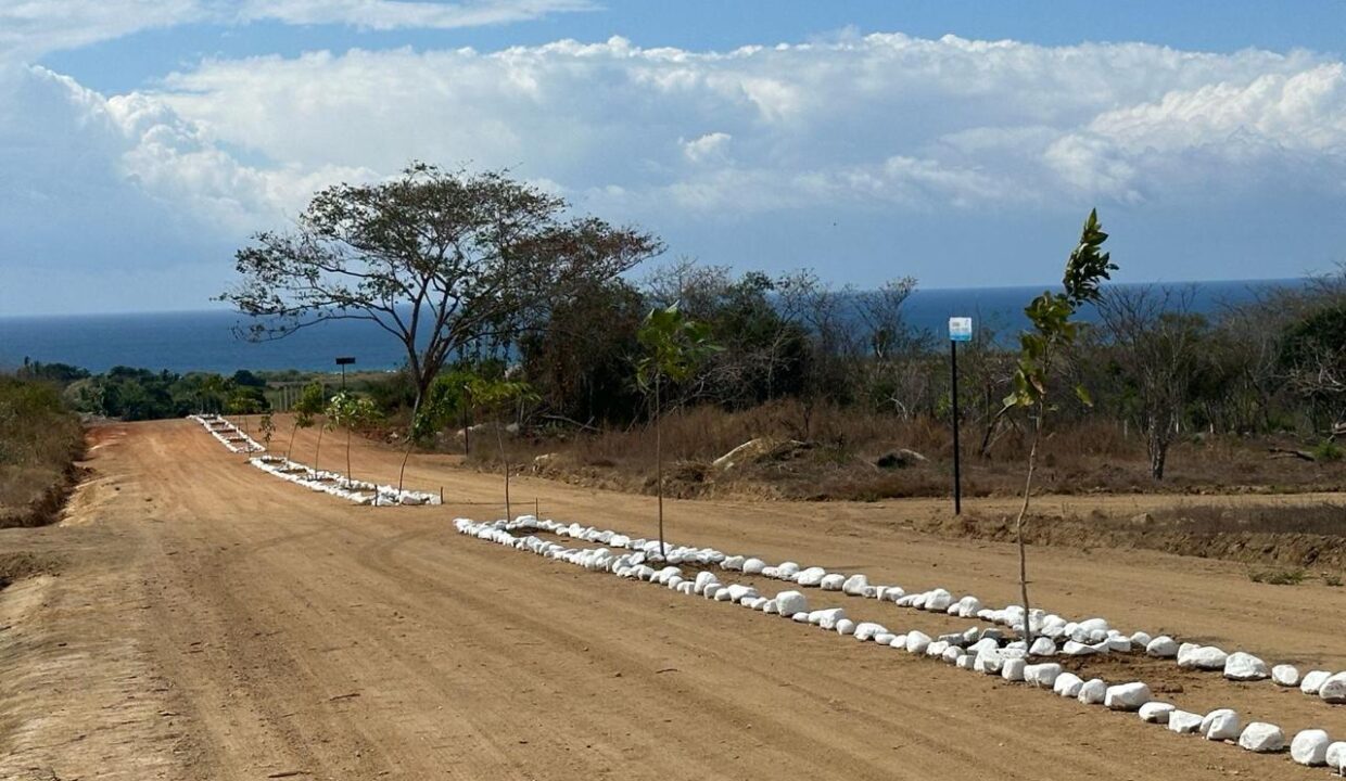 WhatsApp Image 2025-07-29 at 6.26.42 PM