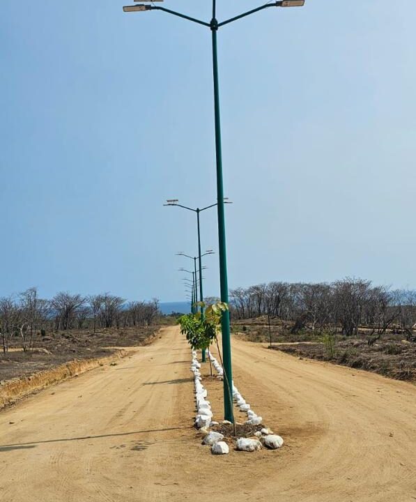 WhatsApp Image 2025-07-29 at 6.26.43 PM (4)