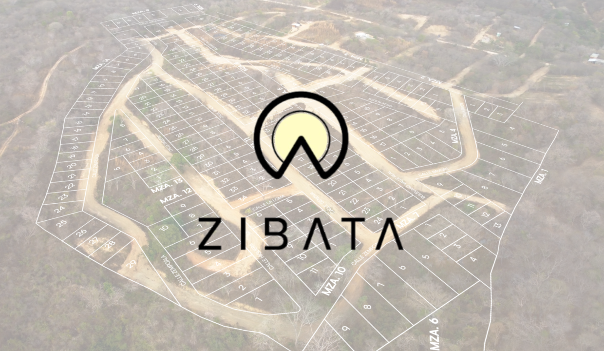 Zibata