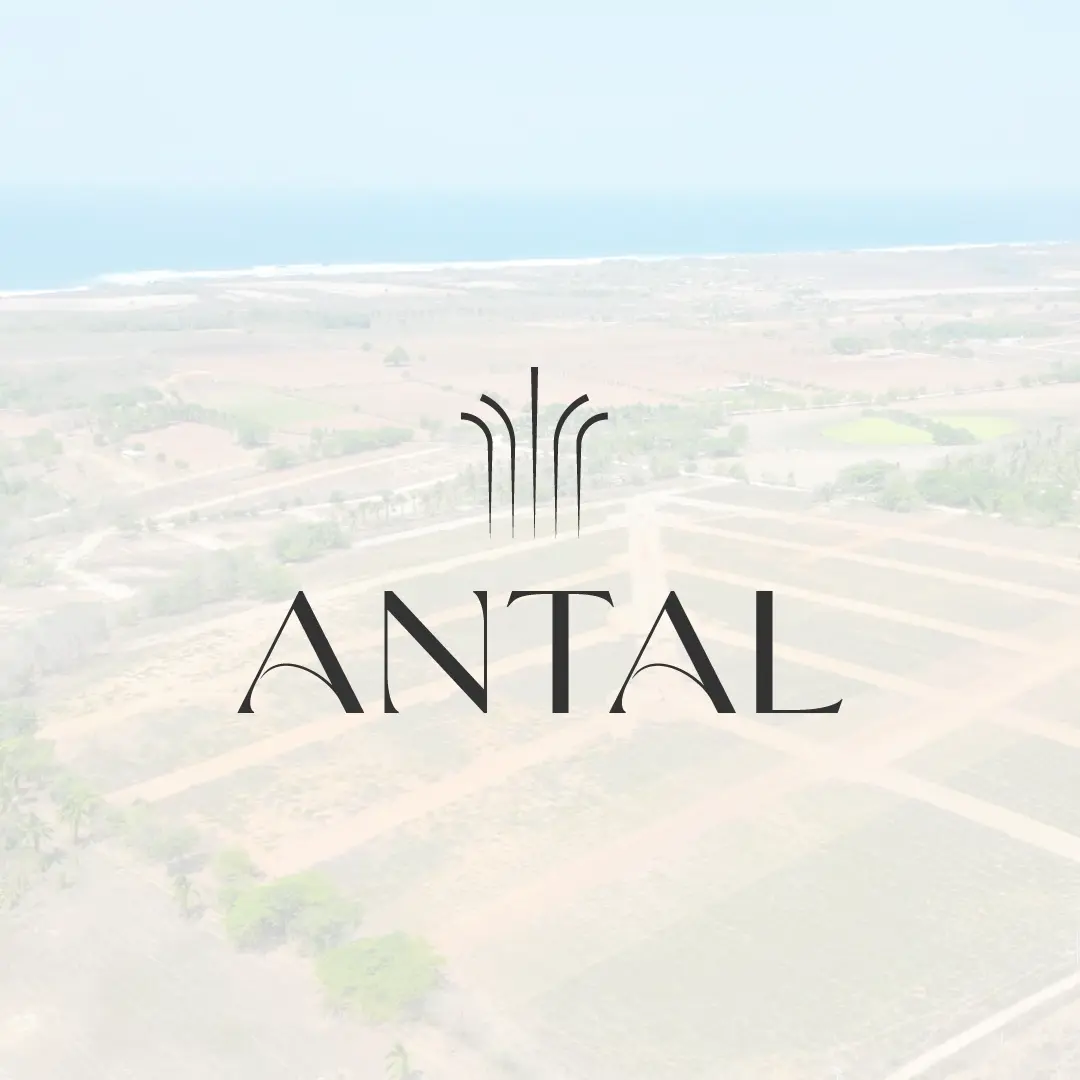 Antal